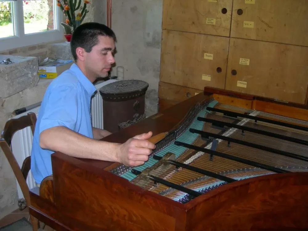 Accord et harmonisation du piano à queuewebp