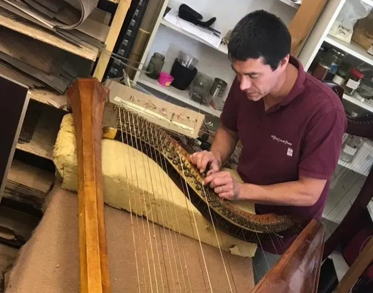 entretien harpe près de Lyon 