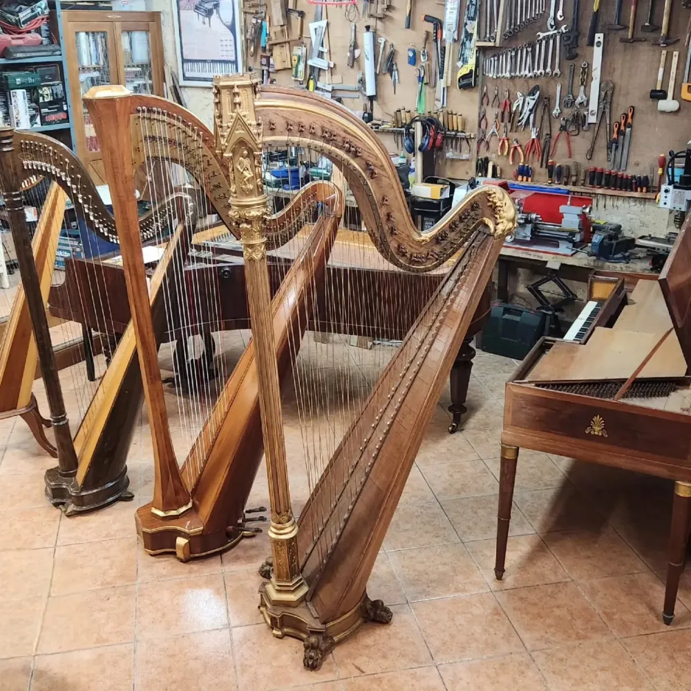 location harpe près de Lyon 