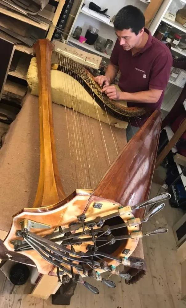 Régale de harpewebp