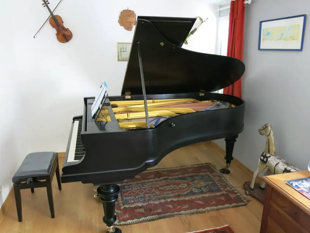 Piano Blüthner système Aliquot de 190webp