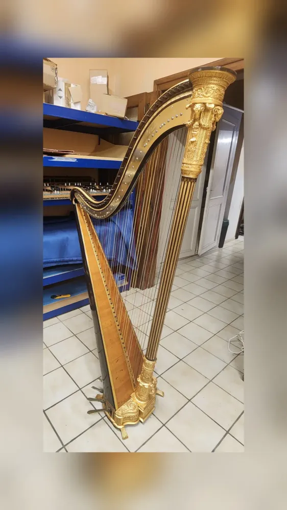 HARPE CHALLIOT apres 20251217_070714