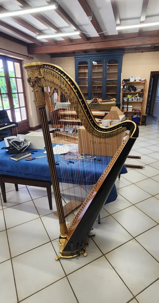 HARPE ERARD apres 20250619_121424