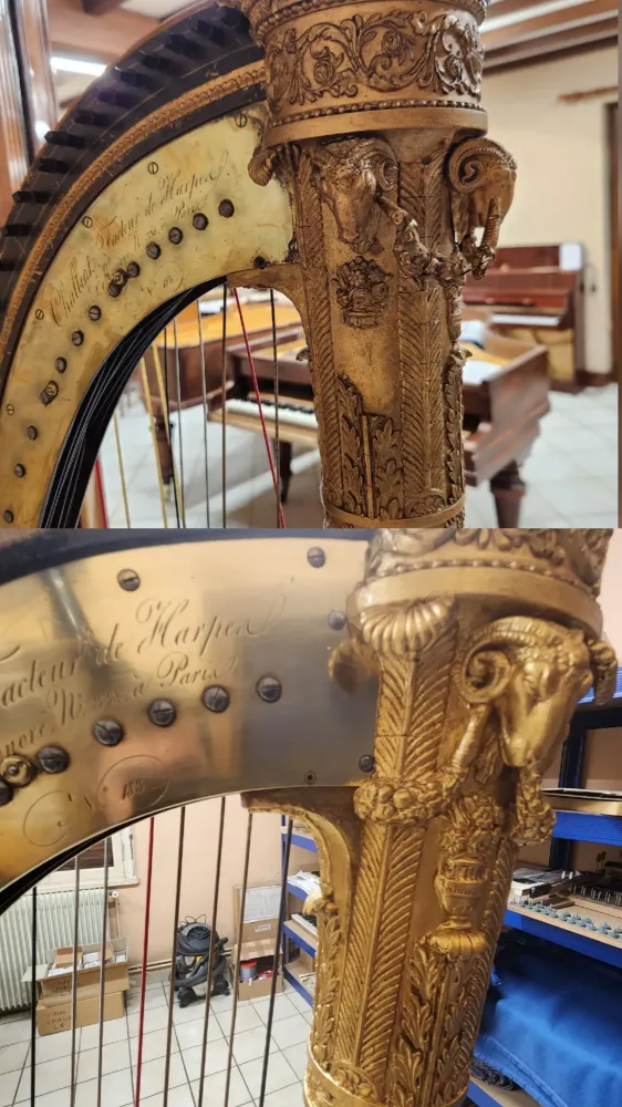 HARPE CHALLIOT avant-apres 20251217_070441