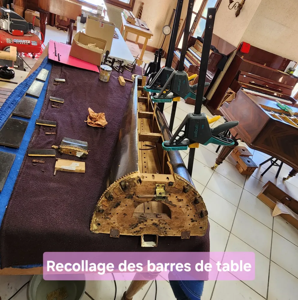 HARPE ERARD 20241216_115059